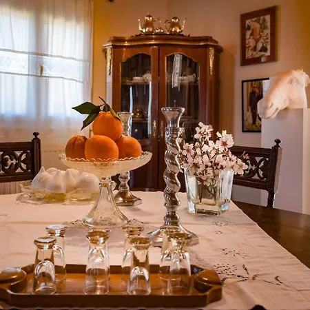 Art Gallery Kefalonia Sea View And Breakfast Villa *
