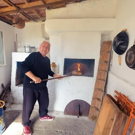 Art Gallery Kefalonia Sea View And Breakfast Villa Kardhakata